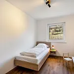 Rörig-plenz Schmallenberg