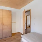 Rörig-plenz *