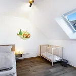 Rörig-plenz