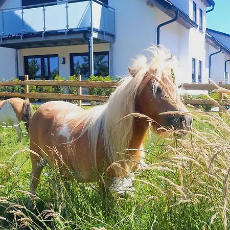 Appartamento Roerig-plenz