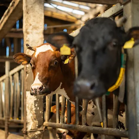 Appartamento Roerig-plenz