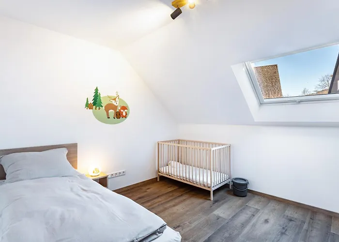 Rörig-plenz * Schmallenberg