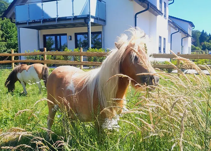 Apartment Rörig-plenz